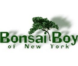 Bonsai Boy Coupons