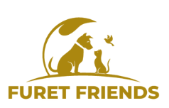 Furet Friend Coupons