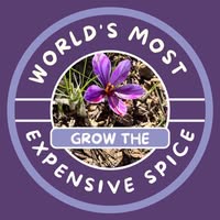 She's Rooted Home Coupons