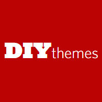 DIYthemes Coupons