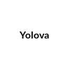 Yolova Coupons